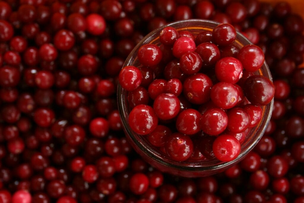 Buah Cranberry