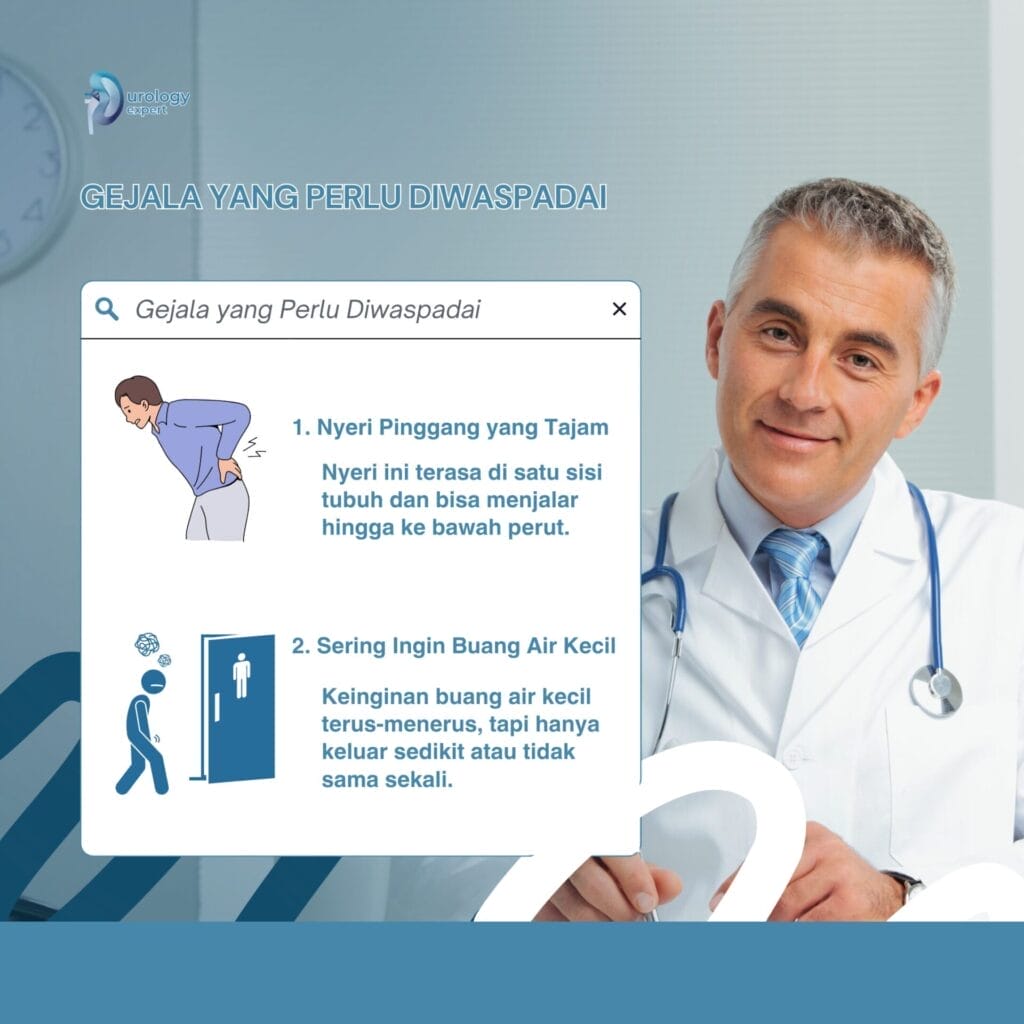 Nyeri Pinggang Batu Ginjal