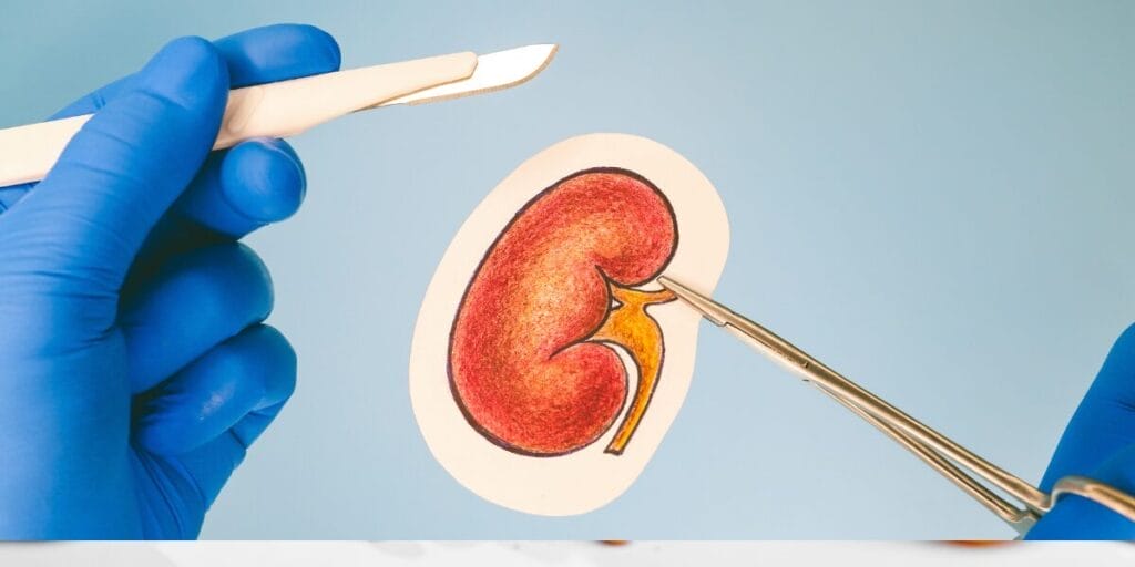 Desain Tanpa Judul (14)