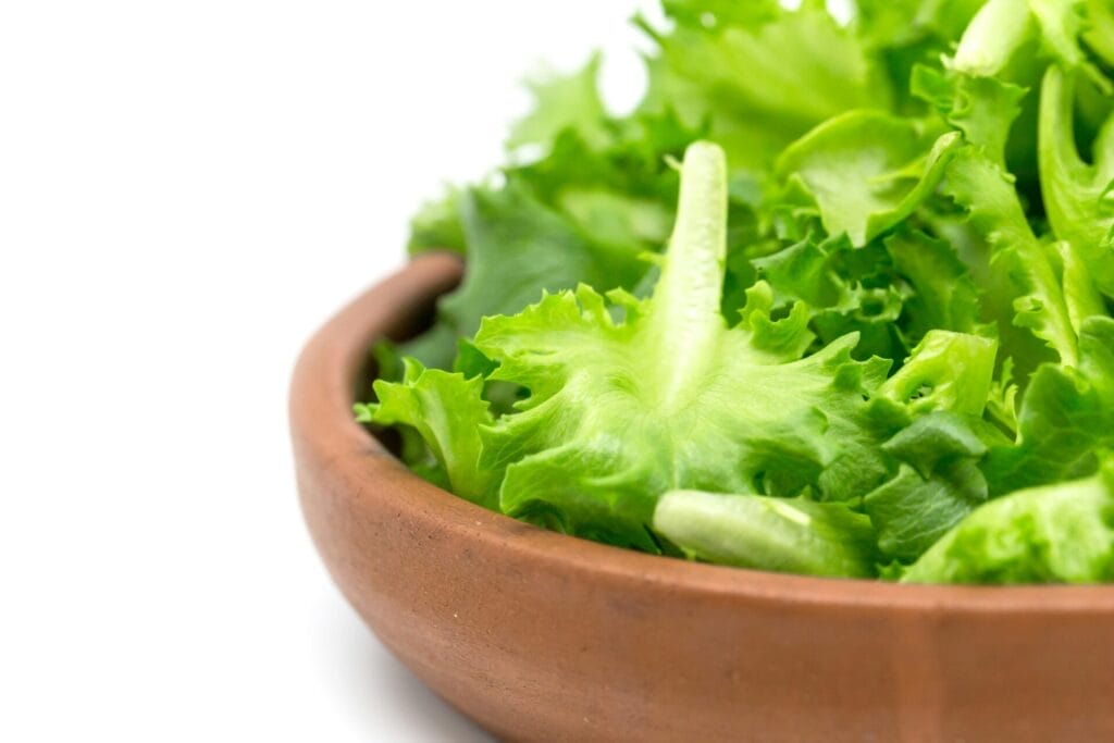 diet batu ginjal