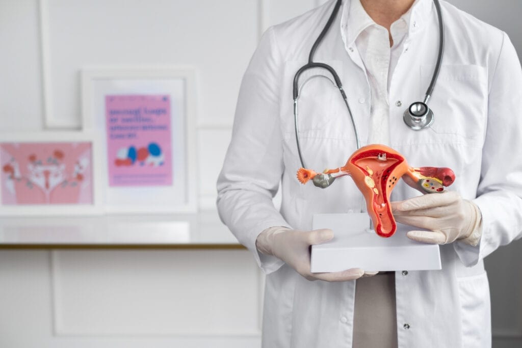 Dokter memegang model anatomi organ reproduksi wanita untuk menjelaskan kondisi sistokel atau kandung kemih turun
