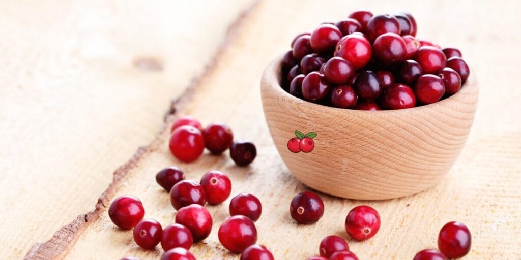 buah cranberry