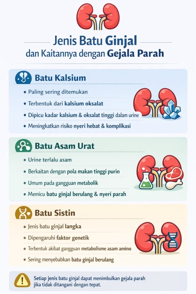 Infografis tentang jenis batu ginjal